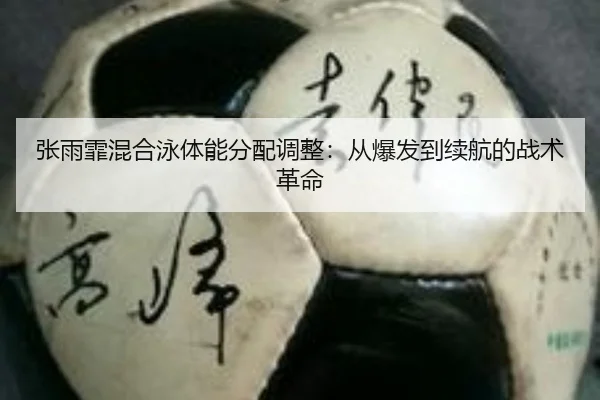 zhang-yu-fei-hun-he-yong-ti-neng-fen-pei-tiao-zheng-cong-bao-fa-dao-xu-hang-de-zhan-shu-ge-ming-3-286.jpg